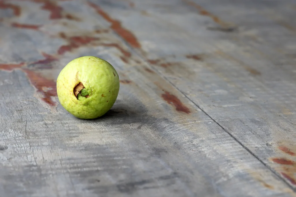 A singular sour guava on a grey wooden floor